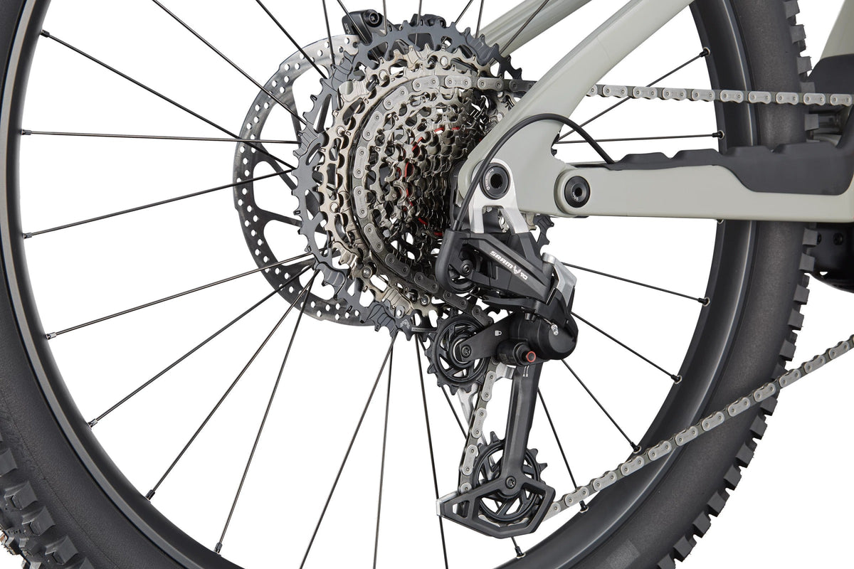 Cannondale Moterra LT 1 — Tiger Shark, dettaglio 3