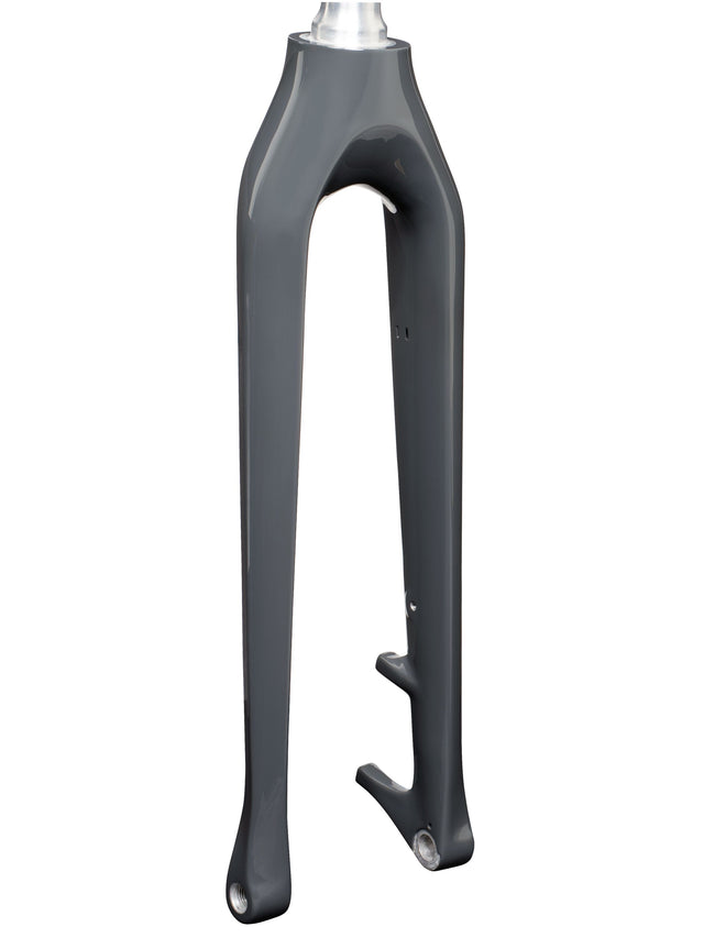 Trek-Diamant Zouma+ Carbongabel