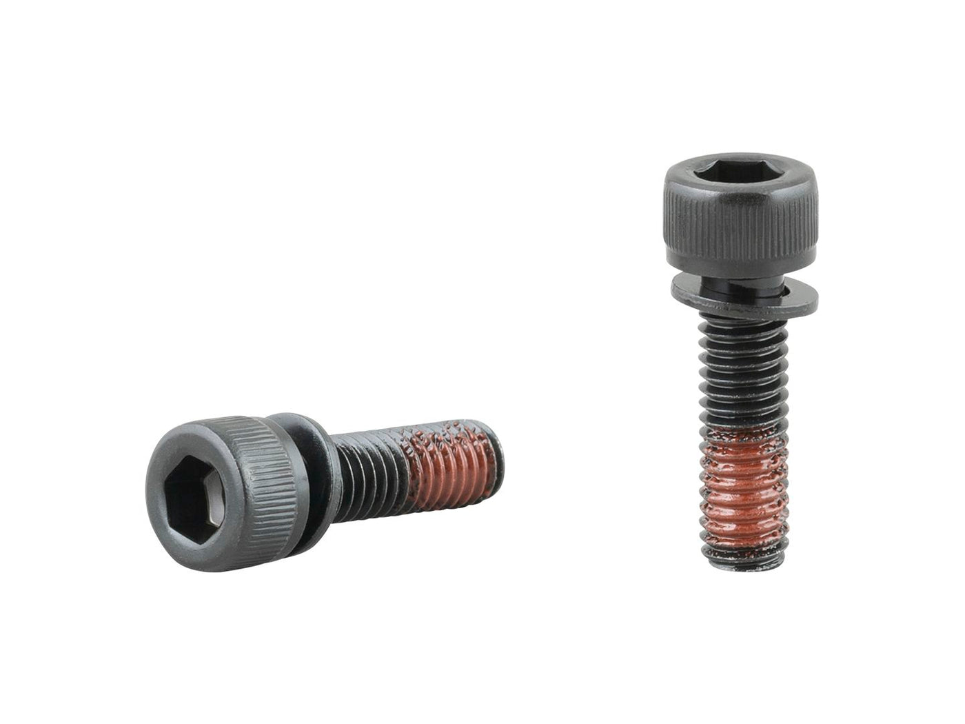 Trek Speed ​​Concept Flippable Head Bolts