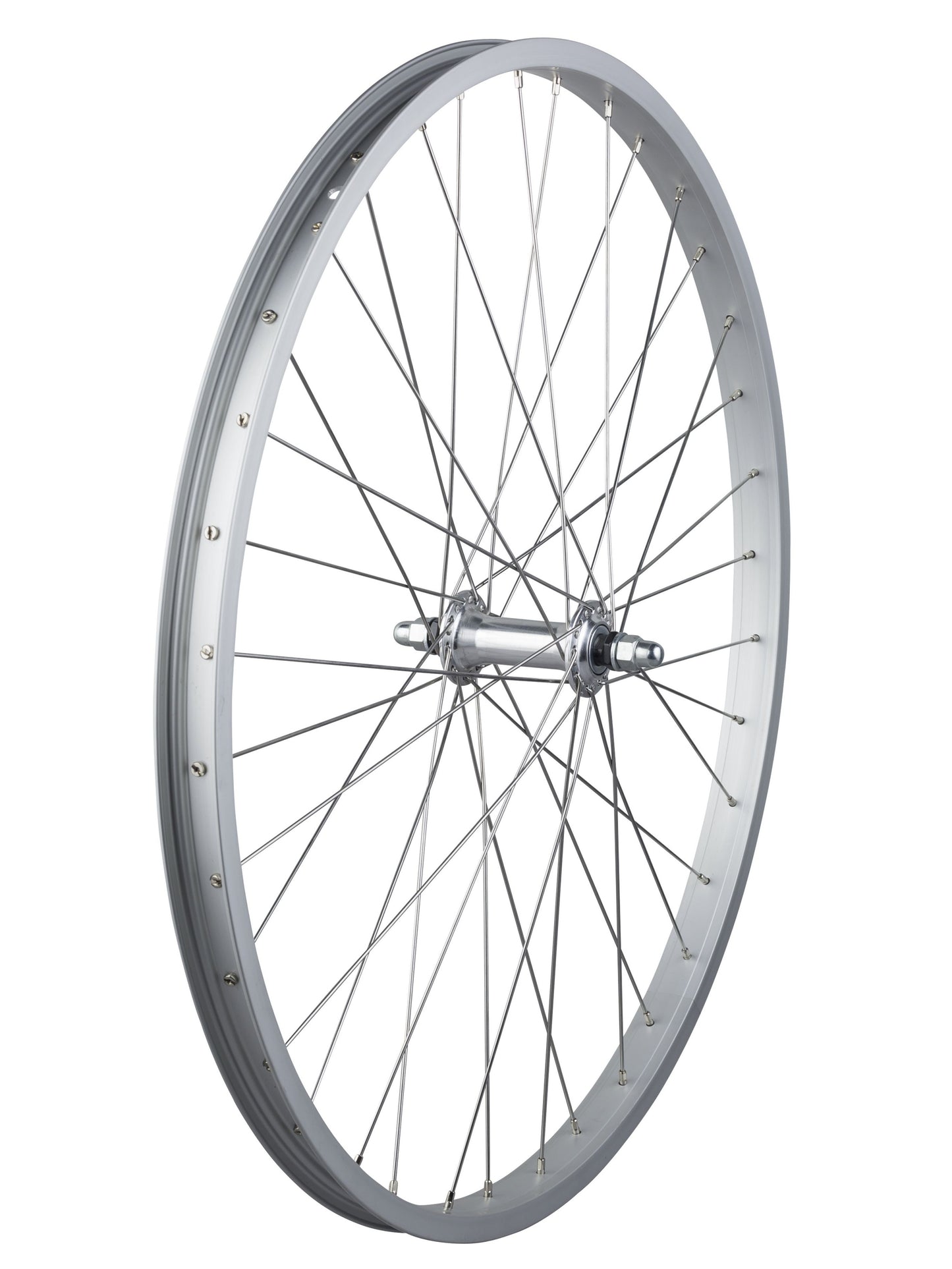 Ruota per Electra Cruiser 7D 26˝