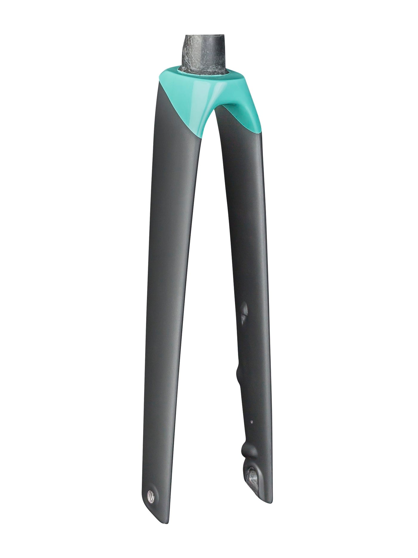 Trek Madone SLR Women's 700c Disc Rigid Forks