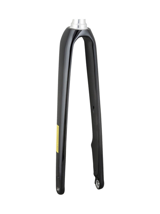 Trek 2021 Domane AL 2 700c Disc Rigid Forks