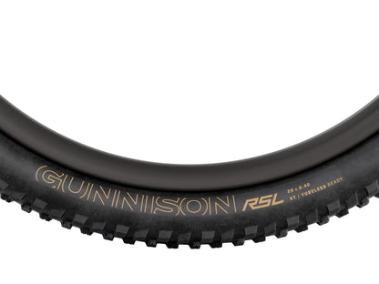 Pneumatico MTB Bontrager Gunnison RSL XT TLR