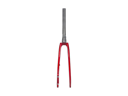 Trek 2022 Domane SL 5 Forks