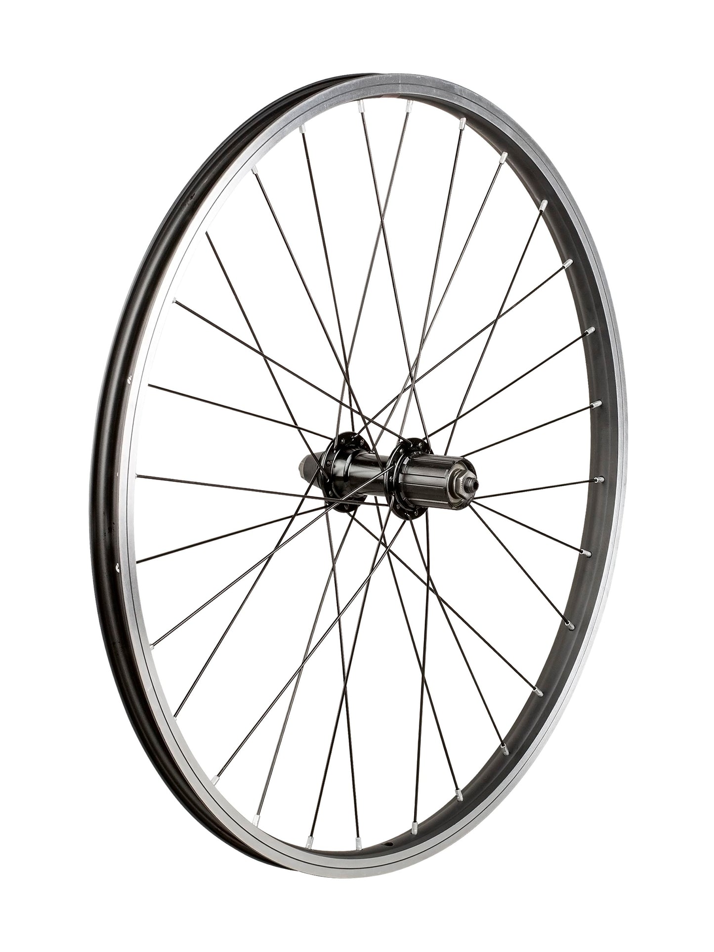 Trek Kids' 28 Hole 24˝ Wheel