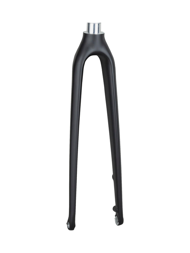 Trek FX Sport 6 Disc Gabel