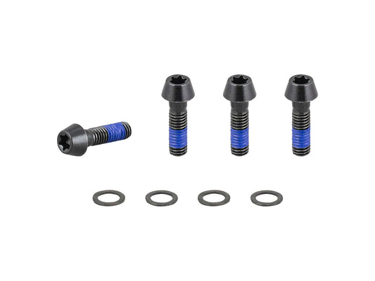 Trek 2021 E-Caliber 29 Chainstay Bridge M6x1x20mm Bolts