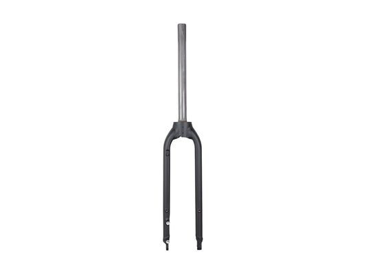 Trek Dual Sport+ Rigid Forks