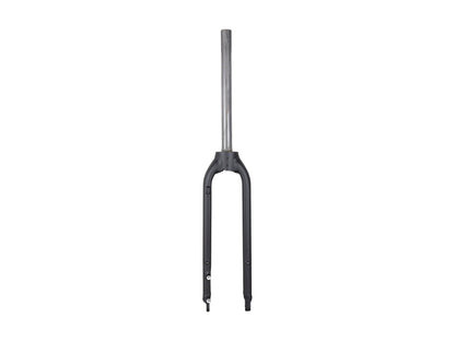 Trek Dual Sport+ 700c Rigid Fork