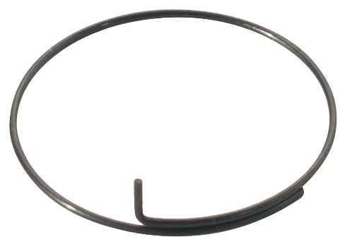 Bontrager DT Swiss Onyx Sperrklinkenfeder