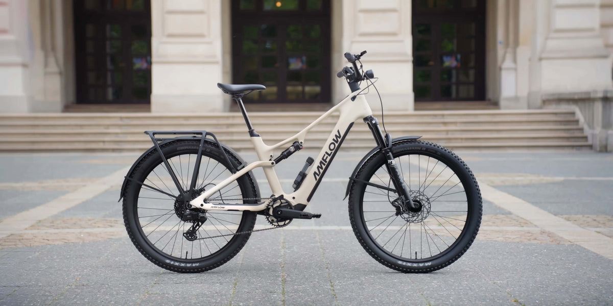 Amflow TL Carbon — profilo completo